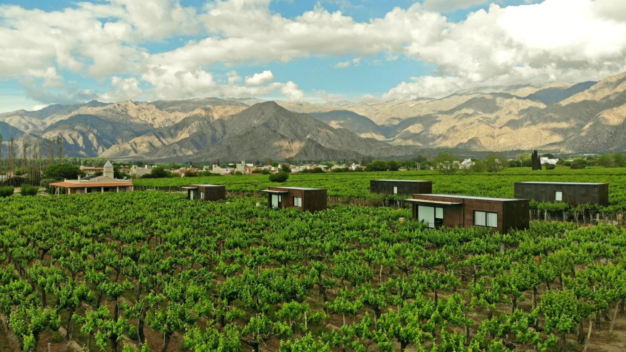 El Porvenir Wine Lodge Cafayate Extérieur photo