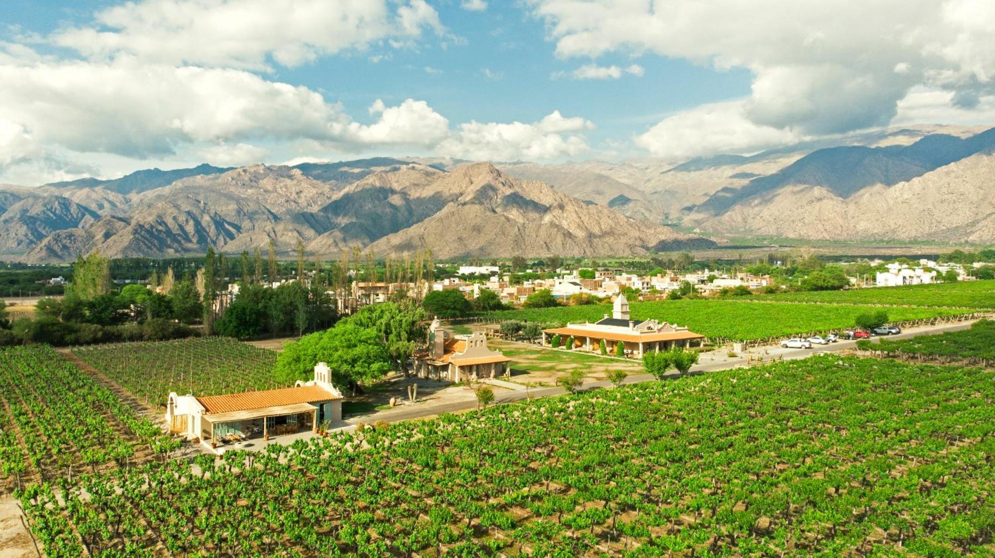 El Porvenir Wine Lodge Cafayate Extérieur photo