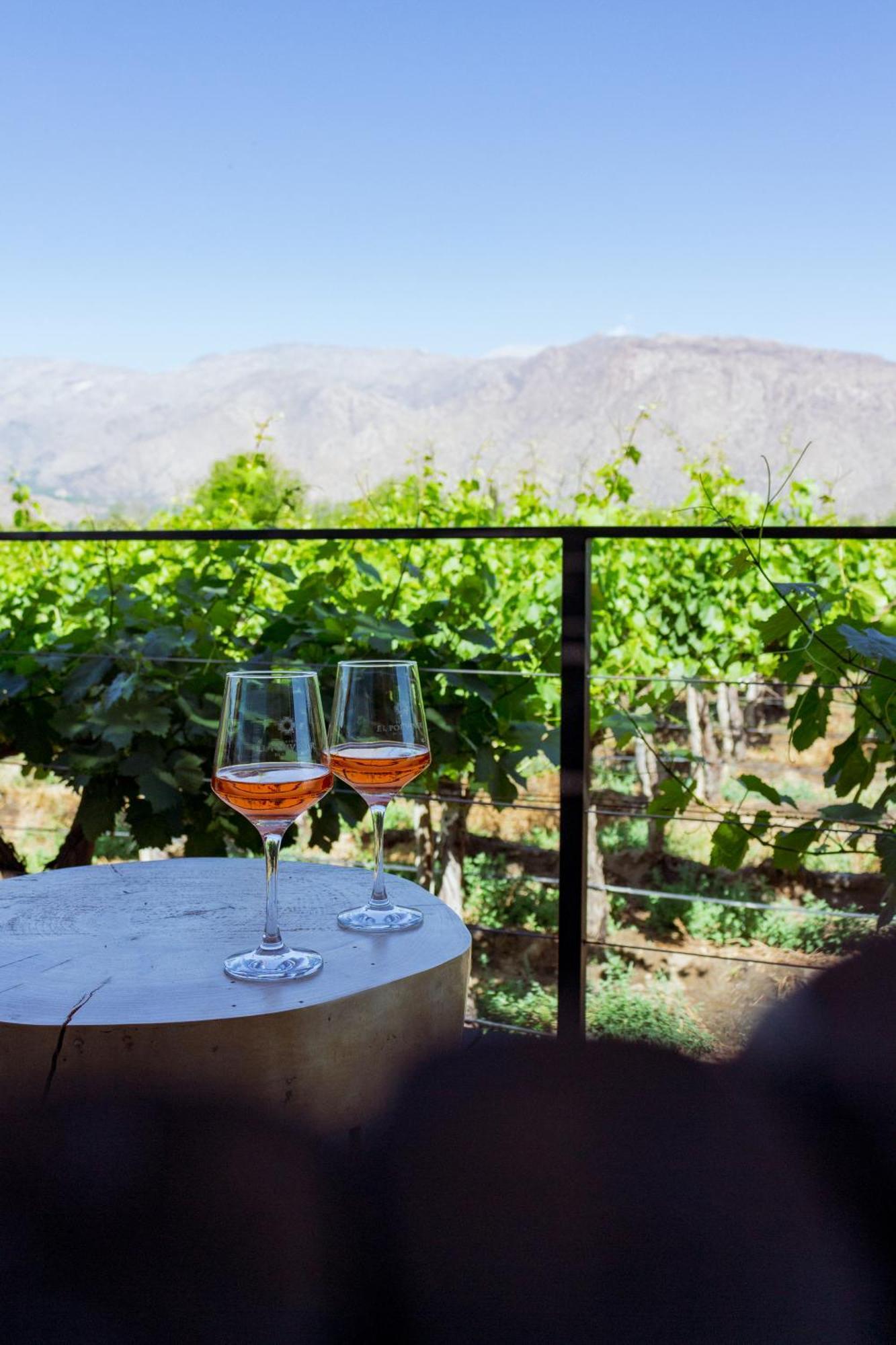 El Porvenir Wine Lodge Cafayate Extérieur photo