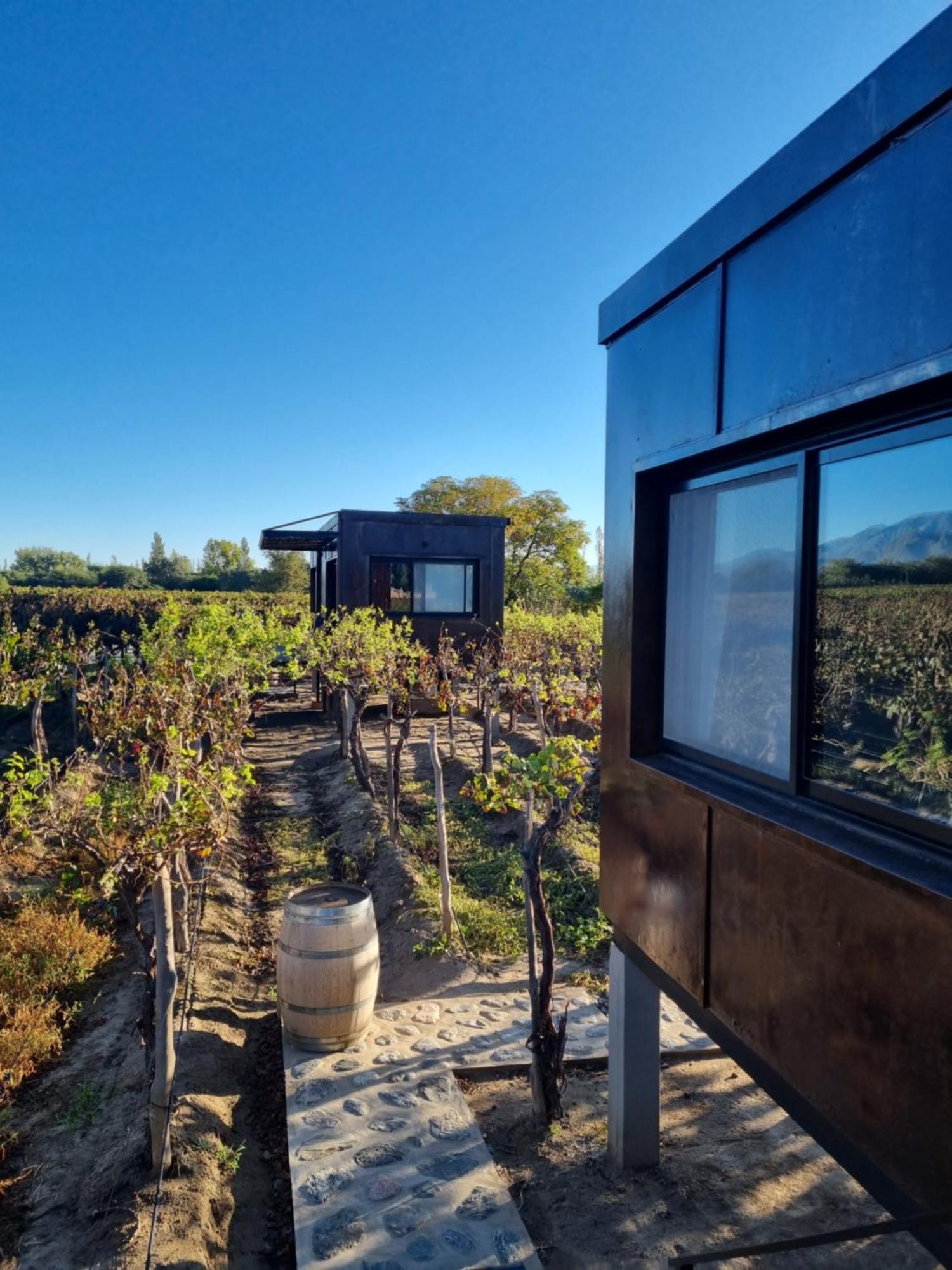 El Porvenir Wine Lodge Cafayate Extérieur photo